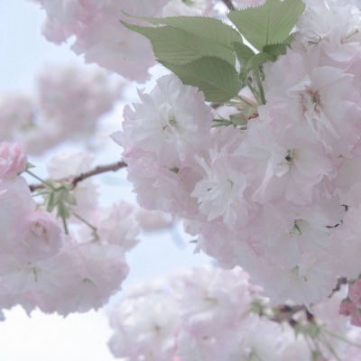 兽设色彩渐变技巧FurryQQ群